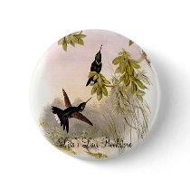 Gould - White-Tip Hummingbird buttons