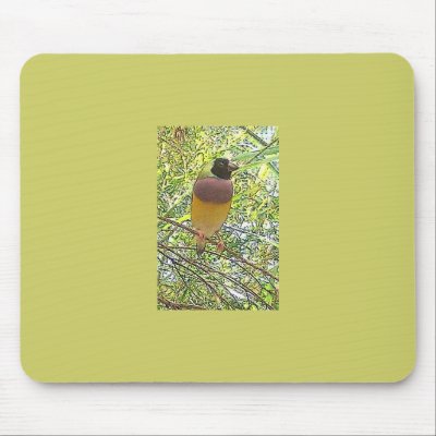 Gouldian 2 mousepad by Lisachromis