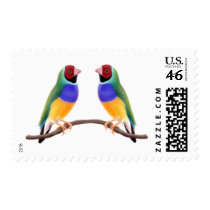 Gouldian Finch Friends postage