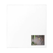 Gouldian Finch Memo Pads