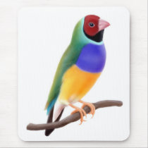 Gouldian Finch Mousepad by twopurringcats Gouldian Finch Mousepad