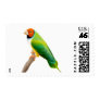 Gouldian Finch Orange Headed