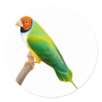 Gouldian Finch Orange Headed stickers