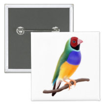 Gouldian Finch Pin