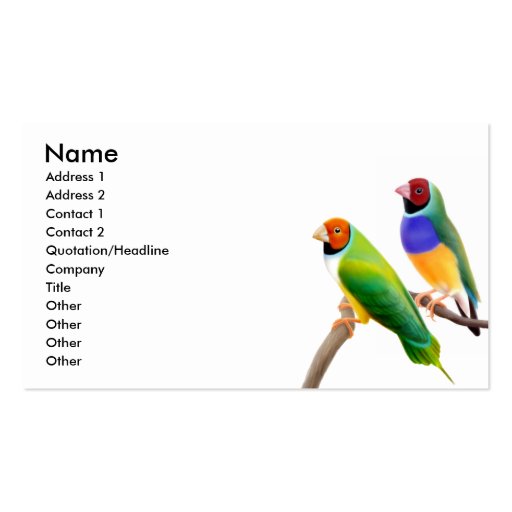 Gouldian Finches Business Card (front side)