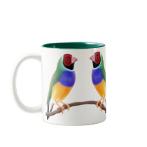 Gouldian Finches Mug