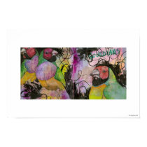 Gouldian Finches posters