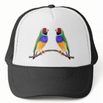 GouldianFinch Friends Mesh Hat