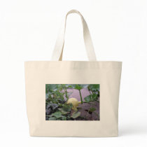 Gourd bags by AryadnaDesign Gourd bags