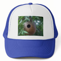 Gourd Birdhouse Hat