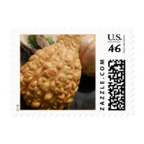 Gourd of Blobs Postage