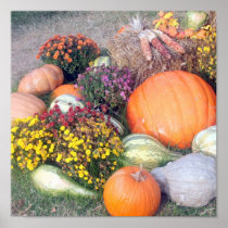 Gourds and Pumpkins Print