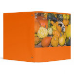gourds binders