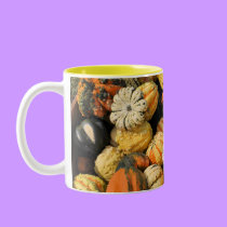 Gourds Galore! -  mug mugs