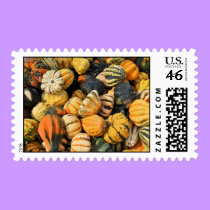 Gourds! - Thanksgiving postage stamps stamps