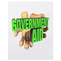 Government Aid Full Color Flyer