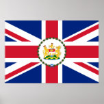 Governor Of Hong Kong, China flag Posters
