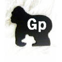Gp WOMAN T t-shirts