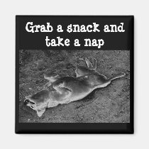 Grab a snack and take a nap magnets