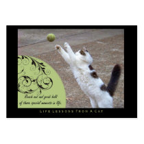 Grab Hold Life Lessons From a Cat ACEO Art Cards Business Card Templates