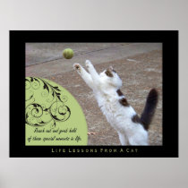 Grab Hold Life Lessons From a Cat Fine Art Print
