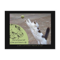 Grab Hold Life Lessons From a Cat Postcard by jaisjewels Grab Hold Life Lessons From a Cat Postcard