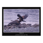 "GRACE" Bald Eagle Posters & Prints