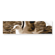 Grace_ Bumper Sticker
