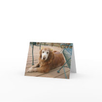 Grace cards
