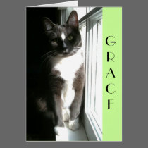Grace cards