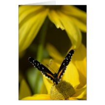 Grace of a Butterfly Greeting Card