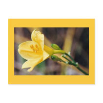 Grace postcards by erin_kathleen Grace postcards