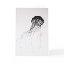 Graceful Jellyfish cards