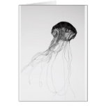 Graceful Jellyfish Cards
