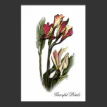 Graceful Petals, photo poster posters