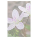 Graceful Spring Beauty Flowers Stationery