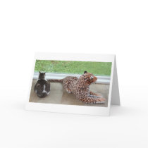 Gracey and Lazy Leopard cards by JoanneLMcGonagle Gracey and Lazy Leopard cards