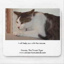 Gracey, The Tiniest Tiger Mouse Pad