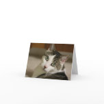 Gracey, The Tiniest Tiger Note Card