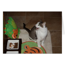 Gracey The Tiniest Tiger on her diet cards