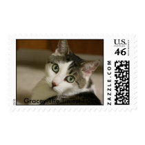 Gracey-The Tiniest Tiger Postage Stamp