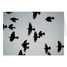Gracias por las alas felicitacion 