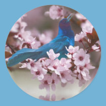 Grackle and Crabapple Blossoms Sticker stickers