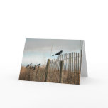 Grackles on a fence - Greeting Card