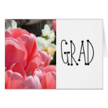 GRAD greeting Cards Congratulations Pink Tulips