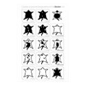 Grades and Special Designations of the Bicolor Cat posters