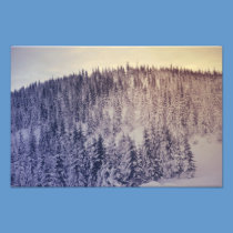Gradient winter landscape photography