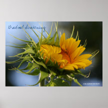 Gradual Awakening Poster