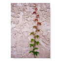 Graduated Leaves posters