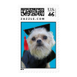 Graduating Dog Tator Postage